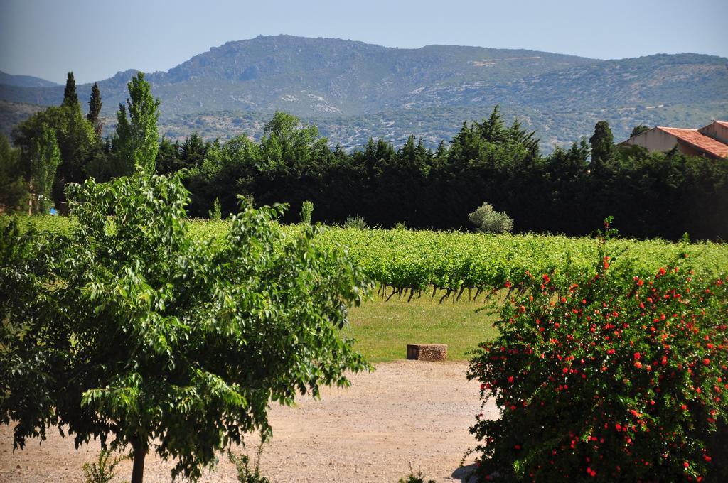 Chateau De Jonquieres - Herault Exterior photo